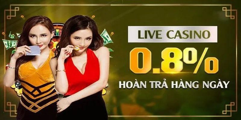 Tổng Quan Chính Sách