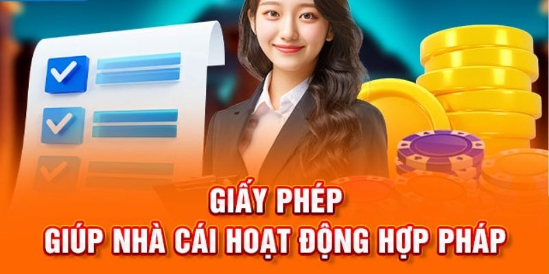 Tổng Quan Về Giấy Phép Hoạt Động